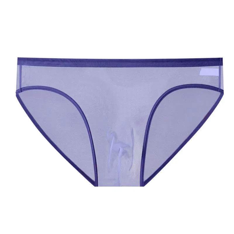 Transparent Underwear Hot Man Pants Ultra-thin Perspective Mid-rise Male Mesh Slips Homme Panties Plus Size