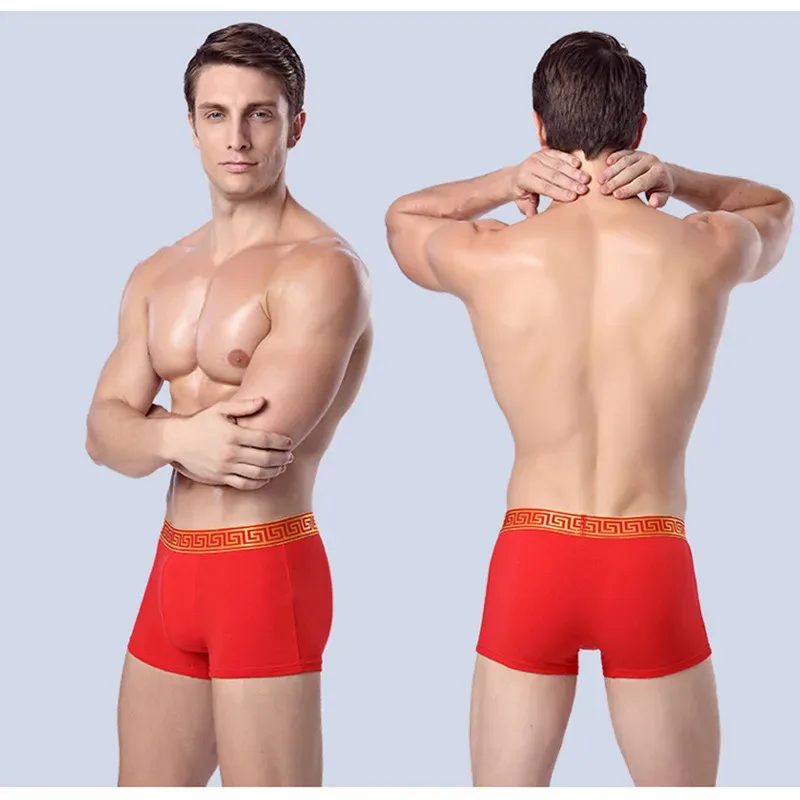 Men's Underwear Cotton Wedding Red Boxer For Men