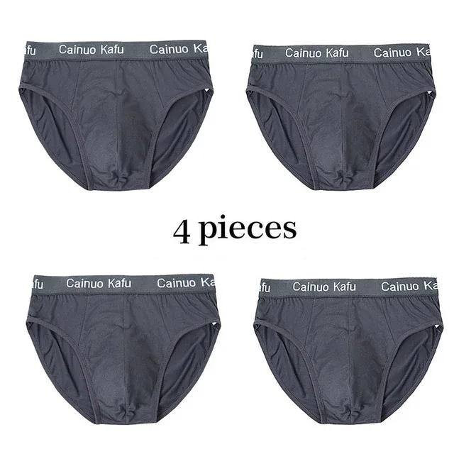 4Pcs Men Briefs Mens Summer Underwear Large Size L-5XL Elasticity Underwear Male Comfortable Panties Sexy Male Shorts Briefs Hot