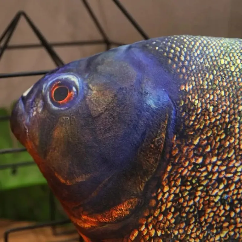 Sofa Cushion Perch Simulation Fish Pillow Stuffed PP Cotton Cartoon Fish Soft Grouper Fish Anime Pillow Home Decoration