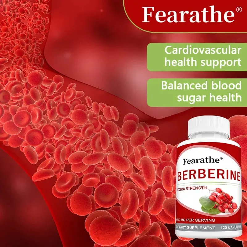 High-potency Berberine Supplement Antioxidant Supports Cardiovascular and Blood Sugar Health Gastrointestinal Health