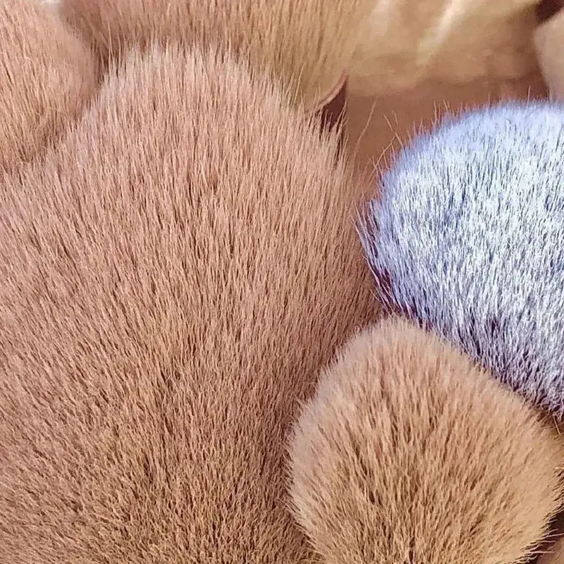 Conjunto de pincéis de maquiagem de beleza macia, 13 unidades, base, sombra, blush, ferramentas cosméticas com bolsa de armazenamento para mulheres