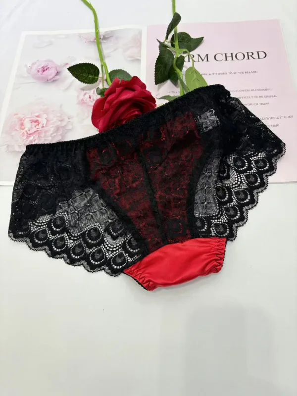 Sexy men underwear elasticity smooth underpants Transparent, breathable, Red lace Men's Briefs