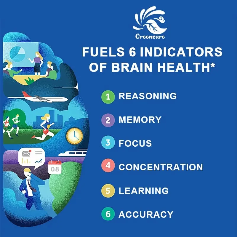 Cápsulas cerebrais com Ginkgo Biloba B6 Memória Foco Inteligência Função Cerebral Saúde