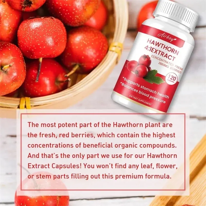 Hawthorn Berry Extract Capsule - Supports Digestive Health Promotes Energy Production Blood Circulation and Boosts Immunity