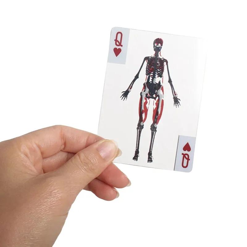 Cartas de baralho do corpo reutilizáveis, imagem 3d, cartas educacionais, multiuso, transparente, cartas de jogo para presentes de amigos