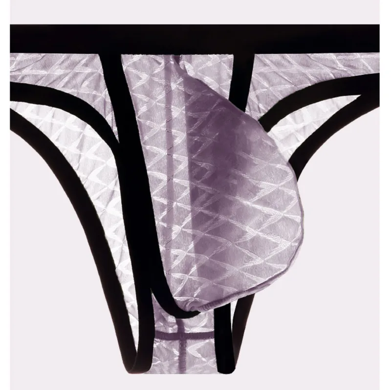 Men's Underwear Sexy Low Waisted Comfortable Triangle Pants Ice Silk Mesh Transparent Briefs