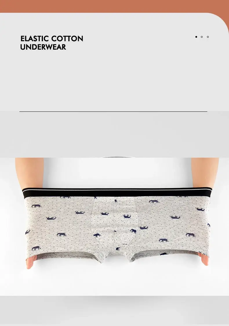 4Pcs/Lot Boxer Shorts Men Underwear Cotton Underpants Comfortable Breathable Male Trunk U Convex Print Panties High Quality