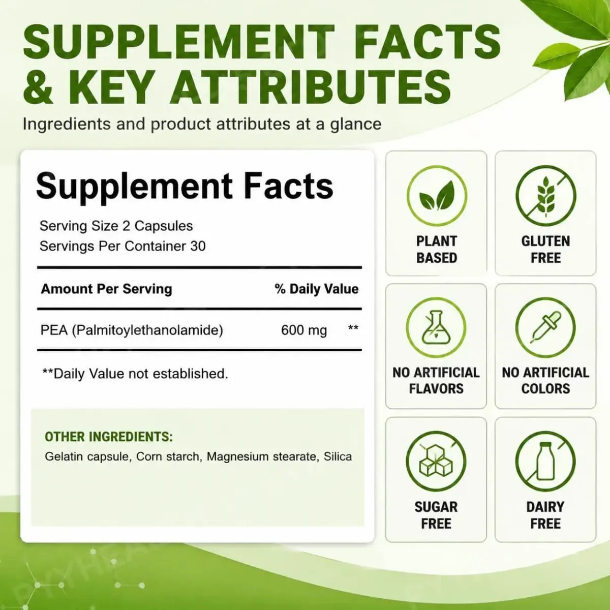Docteat PEA 600mg Cápsulas Palmitoiletanolamida Micronizada Suporta Equilíbrio Composto Manutenção Conforto e Facilidade 60 Cápsulas