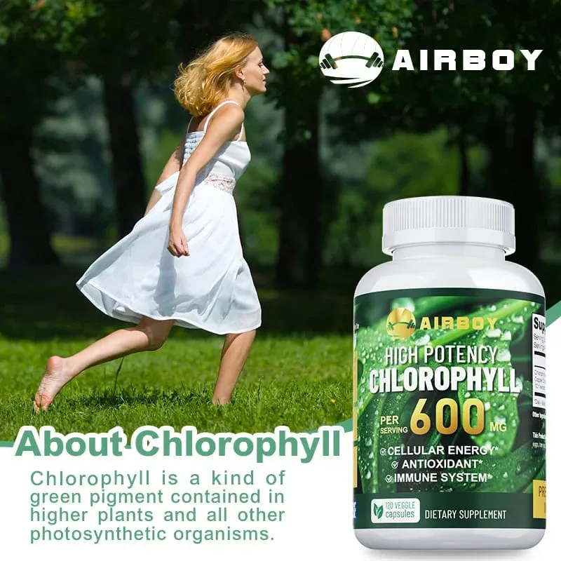 Chlorophyll Supplement 600mg - Supports The Immune System Reduces Body Odor and Bad Breath Boosts Energy Antioxidant