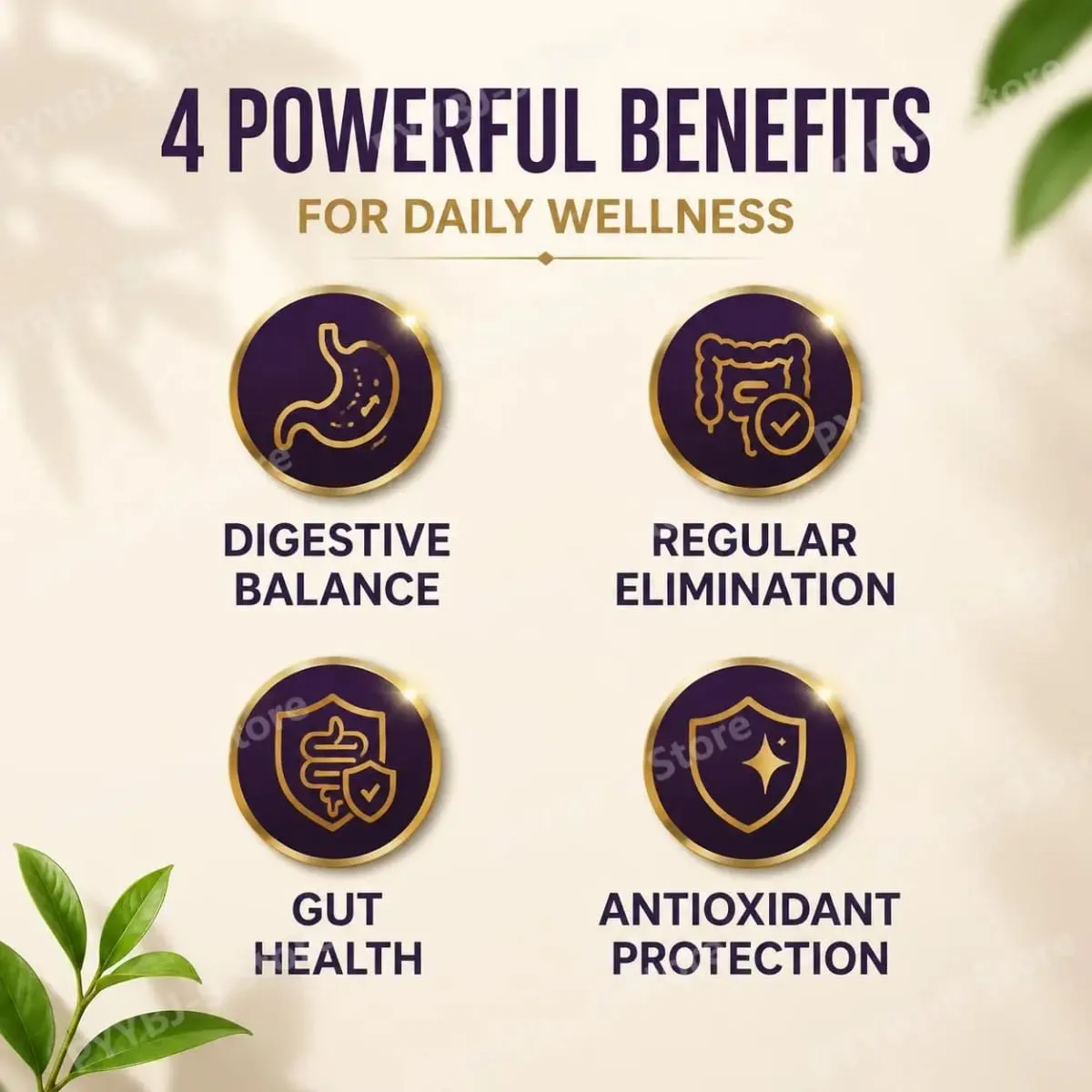 Cápsulas do terceiro olho Haritaki para equilíbrio digestivo e suporte regular do intestino com proteção antioxidante 60 cápsulas vegetais orgânicas — image 3