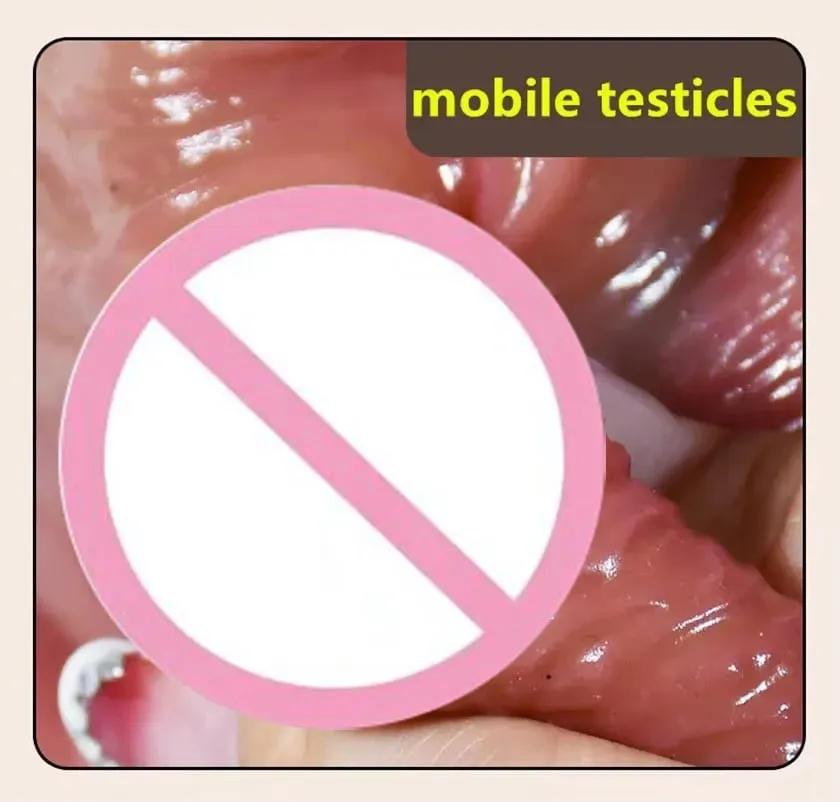 2.0 pau versão atualizada de testículo deslizante pênis realista para mulheres deslizante prepúcio vibrador brinquedo sexo anal para casal silicone