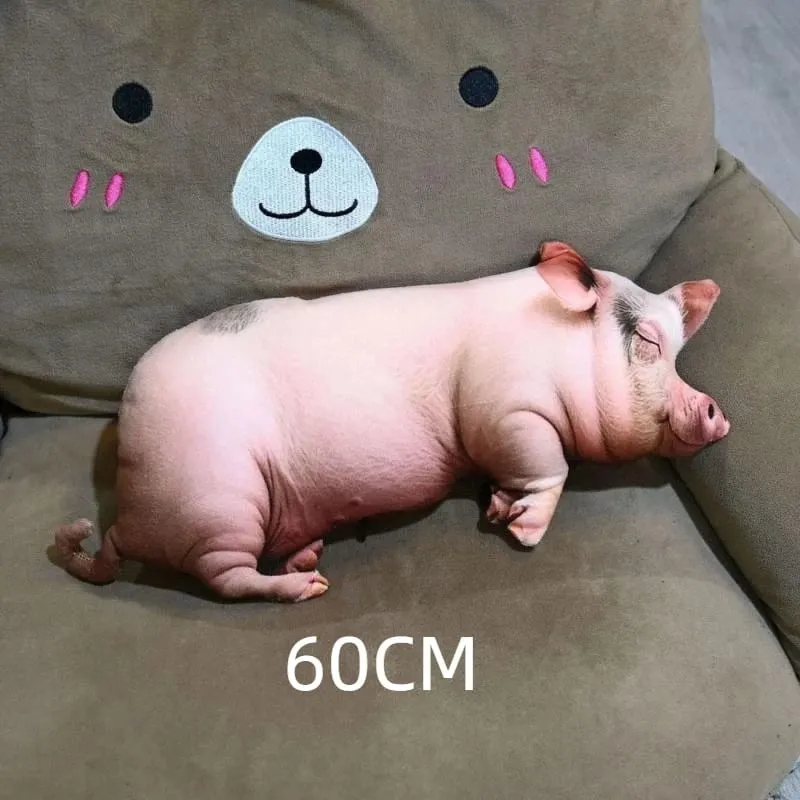 逼真 3D 豬形毛絨枕頭柔軟舒適面料非常適合沙發裝飾床休息生日禮物兒童和成人