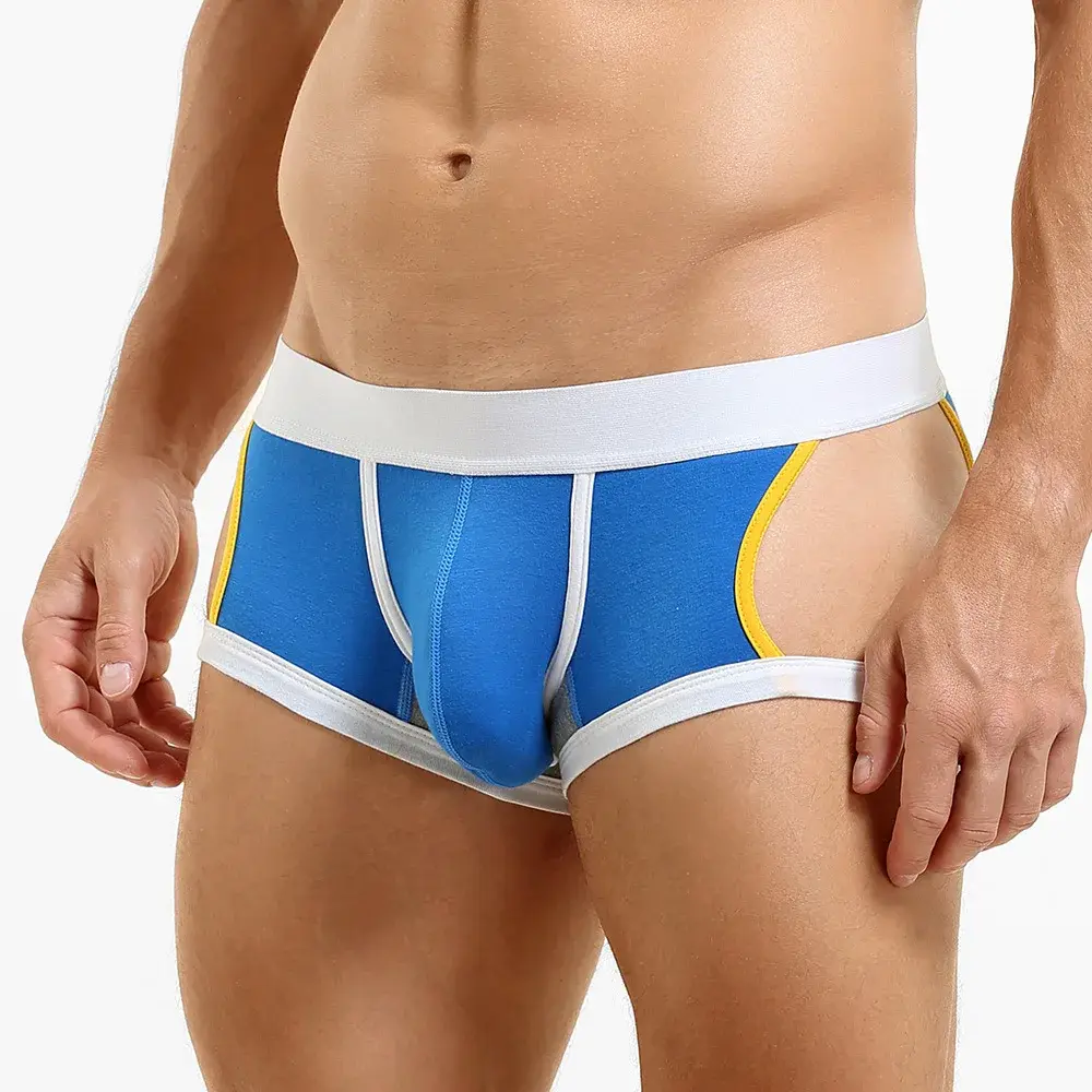 Men's Low-Waist U-Shape Flat Briefs Underwear Trendy Side-Light Design Comfortable Innerwear for Men