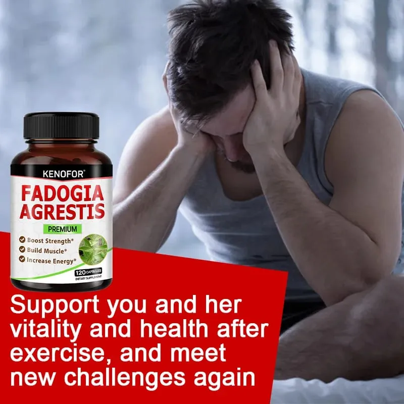 Fadogia Agrestis 膠囊 - [最大強度] - 力量驅動運動表現肌肉質量不含麩質非基因改造