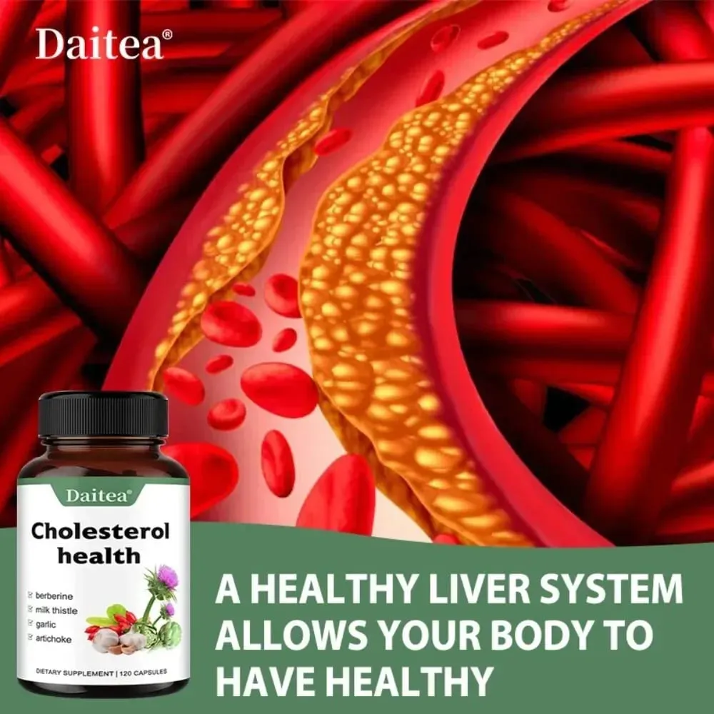 Suplementos de colesterol – mantêm o fluxo sanguíneo e promovem a saúde cardiovascular