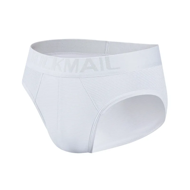 Men Underwear Brief Sexy Low-rise Striped Bikini Athletic Supporters Underpants Sleepwear Nylon Quick Dry Breathable — image 12