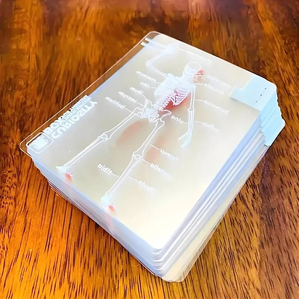 Cartas de baralho do corpo reutilizáveis, imagem 3d, cartas educacionais, multiuso, transparente, cartas de jogo para presentes de amigos