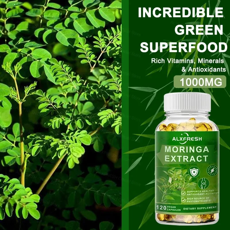 Cápsulas de Moringa apoiam os níveis de energia Sistema imunológico e saúde digestiva Mantêm a saúde dos ossos e dentes Poderoso antioxidante