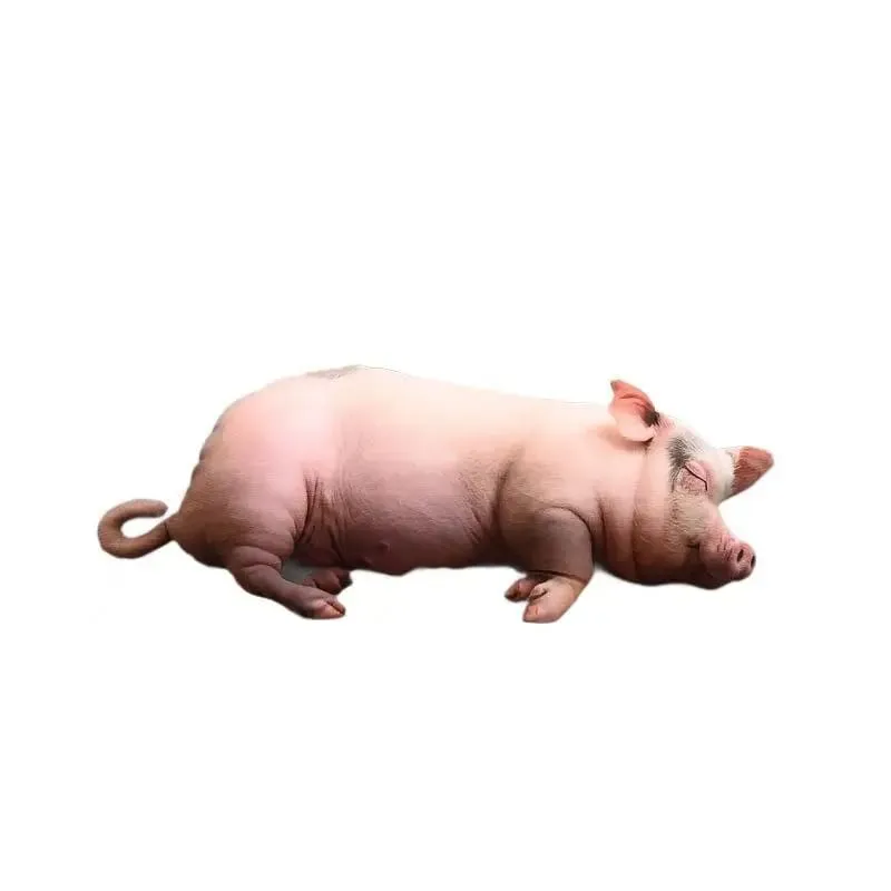 Durable Realistic Sleeping Pig Plush Toy Fluffy Cotton Stuffed Throw Pillow for Car Couch Home Decor Kids Gift