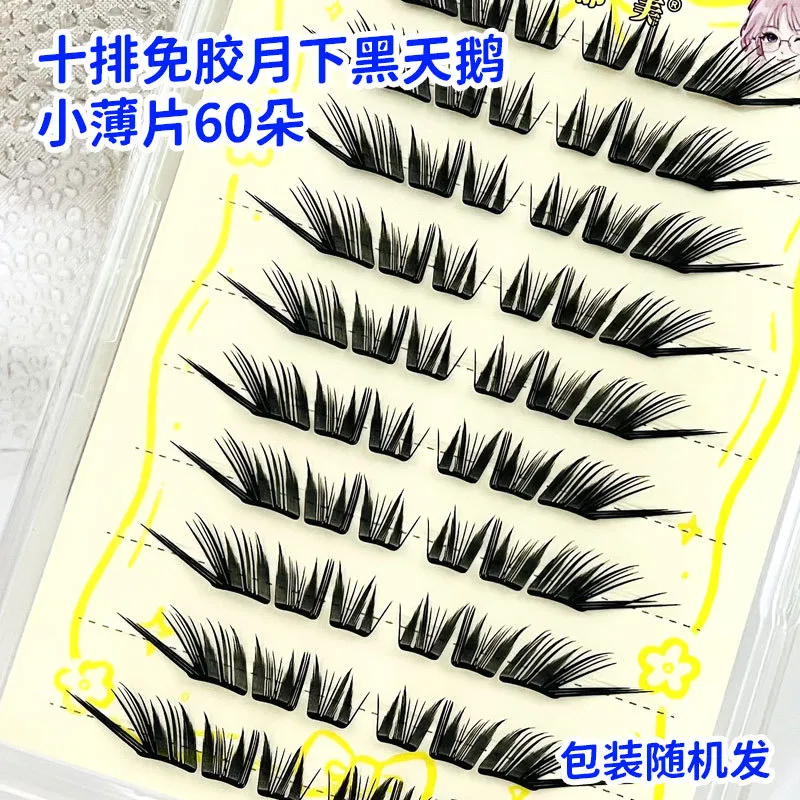 隨機包裝簇狀假睫毛自然捲 C 捲翹眼睫毛適合初學者日常化妝啞光化妝眼睛化妝工具