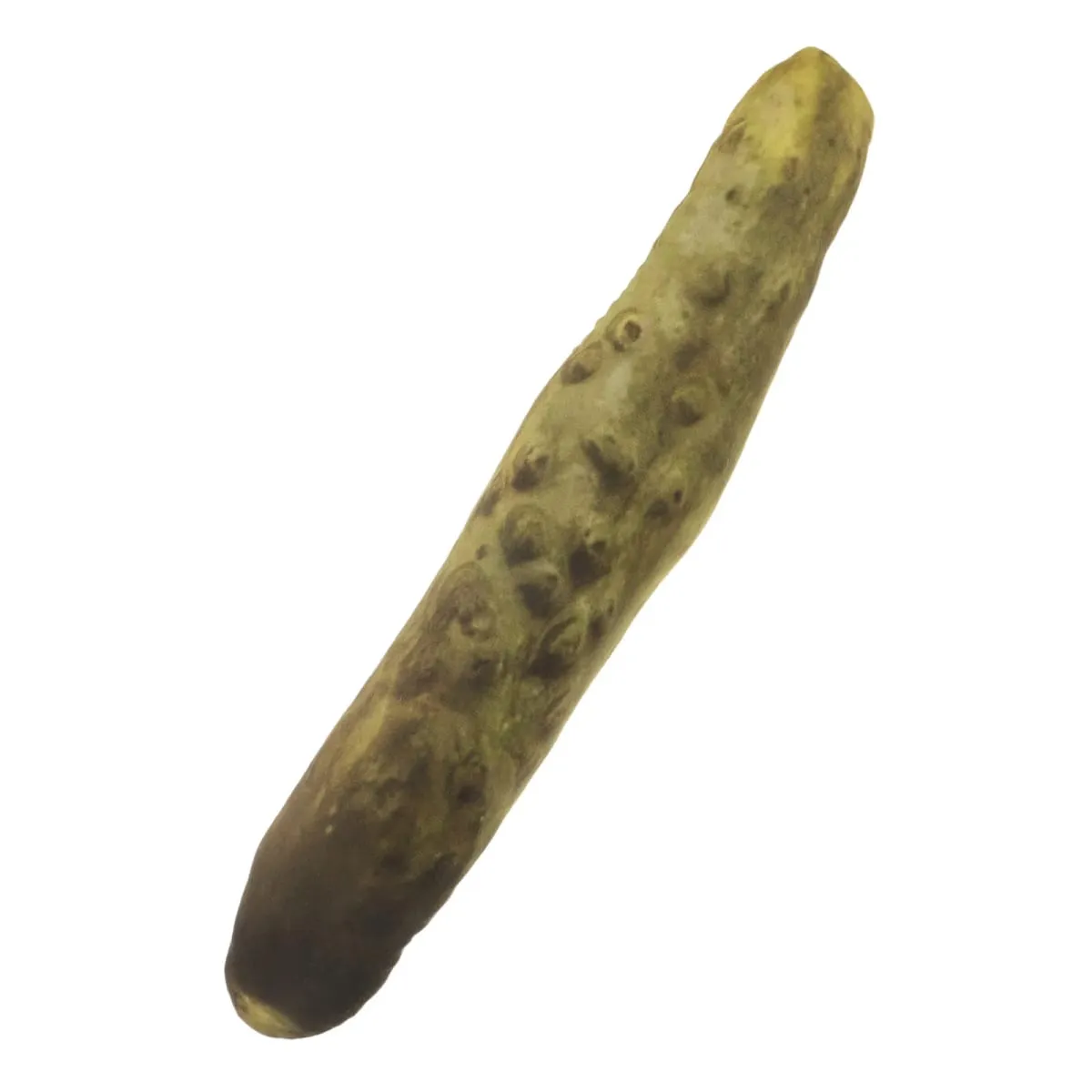 Travesseiro de picles 45cm macio 3d formato de pepino realista almofada de pelúcia engraçado casa quarto sala de estar decoração de berçário novidade comida