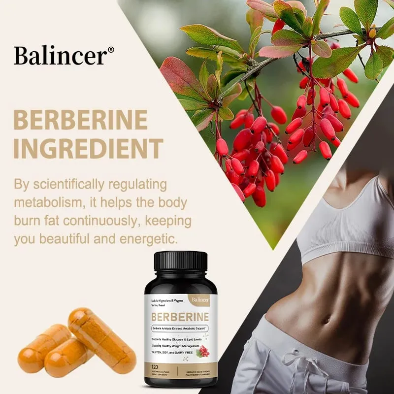 Berberine Capsules 500 Mg - Promotes Cardiovascular and Cholesterol Health Support Healthy Weight Management and Immune System
