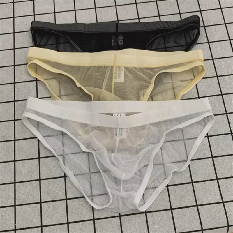 Ultra-thin Sexy Mesh Fully Transparent Men Briefs Panties See Through Underwear Quick Dry Male Underpants Plus Size