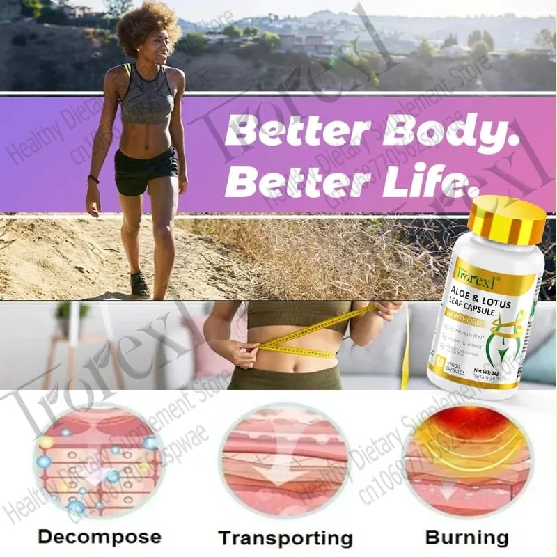 Cápsulas de folhas de aloe e lótus pílulas para barriga lisa supressor de apetite desintoxicação preserva magra