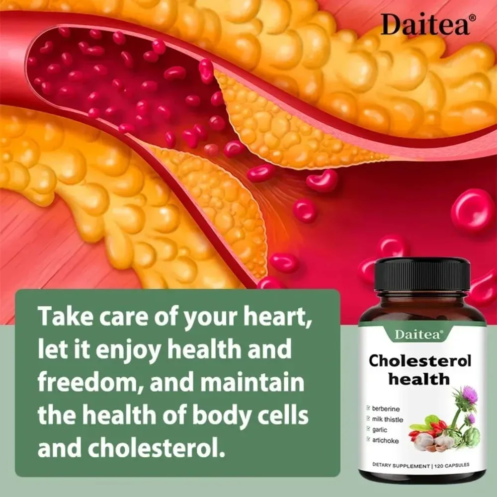 Suplementos de colesterol – mantêm o fluxo sanguíneo e promovem a saúde cardiovascular