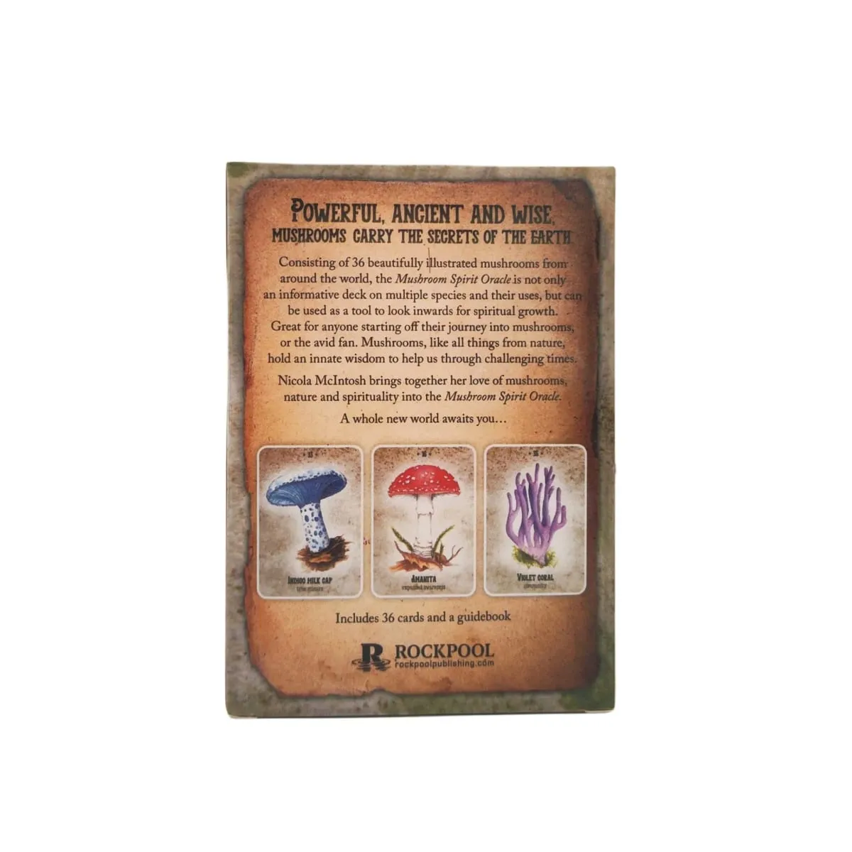 Mushroom Spirit Oracle Cards Board Games