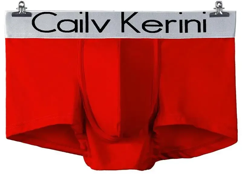 5PCS Men Underwear Boxers Men's Underpants Cotton Solid Sexy Cueca Brand Boxer For Mens Cotton Shorts Panties Calzoncillos 2024