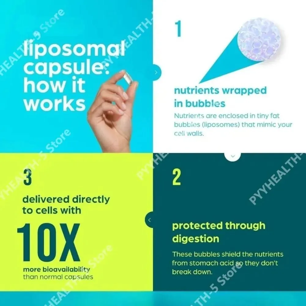 Suplemento lipossomal NAD+ Capsules para adultos apoia a saúde celular energética com urolitina A, resveratrol e chá verde 60 contagens