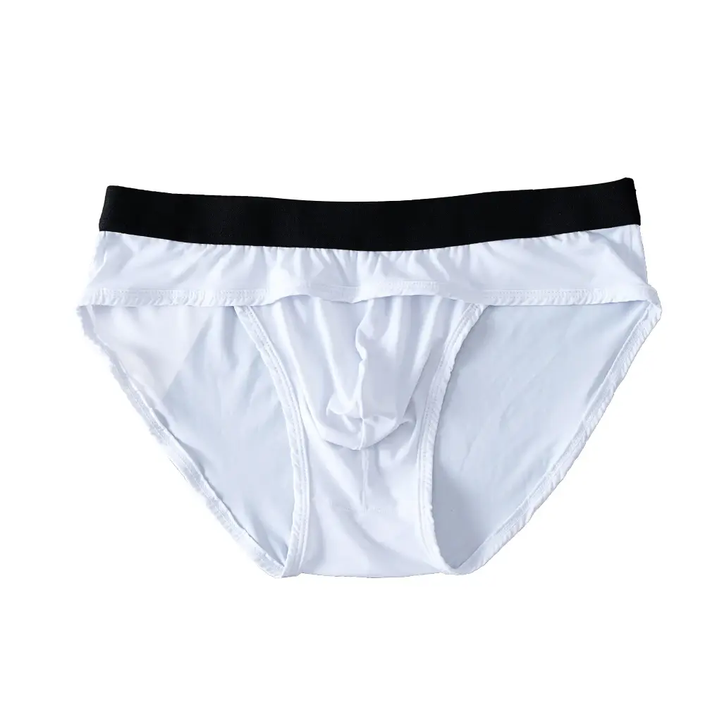 Men Underwear Briefs Underpants Nylon Mesh Quick Dry Men's Briefs Bikini Slip Men's Jockstrap Briefs Swim Swimwear Shorts D2017