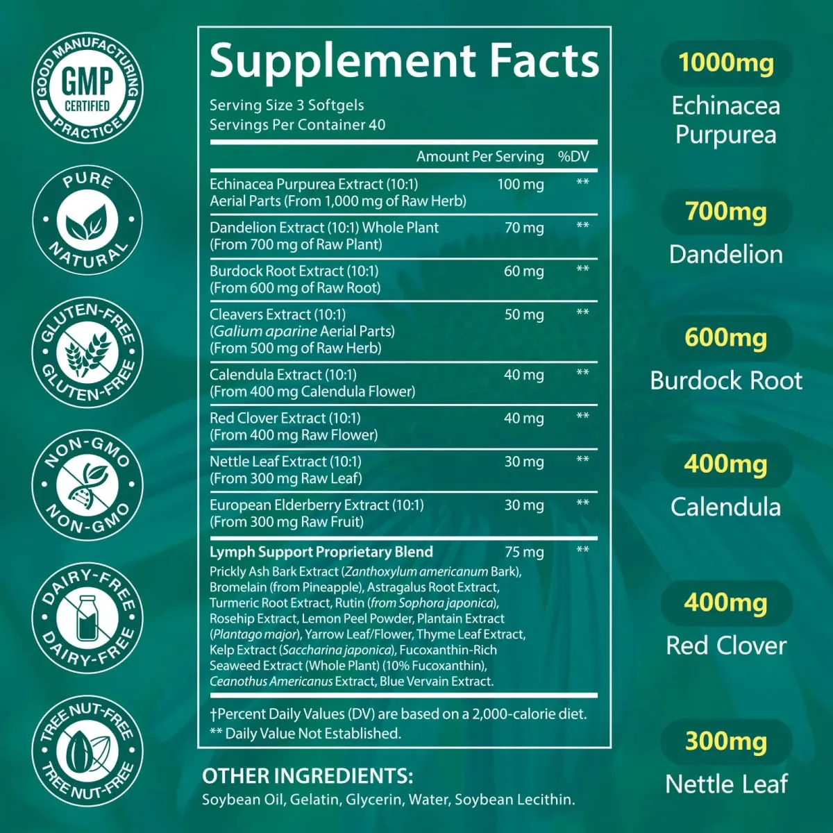 Suporte linfático Suporte imunológico Fluxo sanguíneo saudável Equilíbrio do metabolismo diário Antioxidante Nutrição rica 60/120 Cápsulas gelatinosas