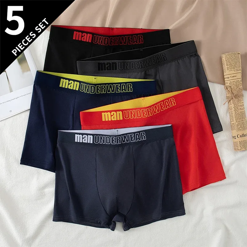 5pcs-ja-dbmen