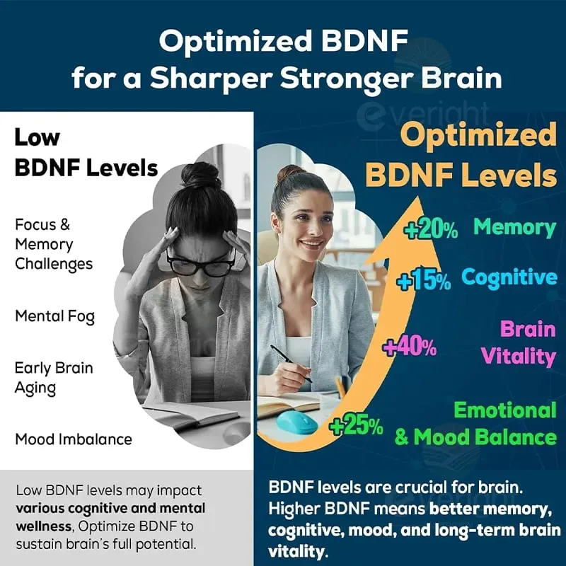 Suplemento cerebral para foco na memória, energia do sistema nervoso e concentração de QI e saúde cognitiva
