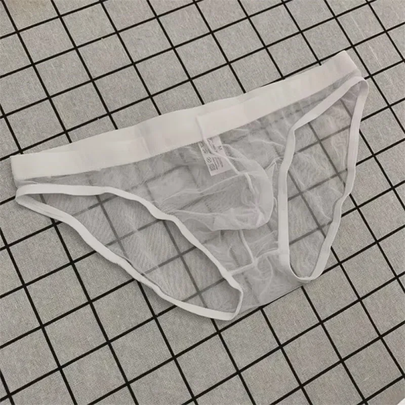 Ultra-thin Sexy Mesh Fully Transparent Men Briefs Panties See Through Underwear Quick Dry Male Underpants Plus Size