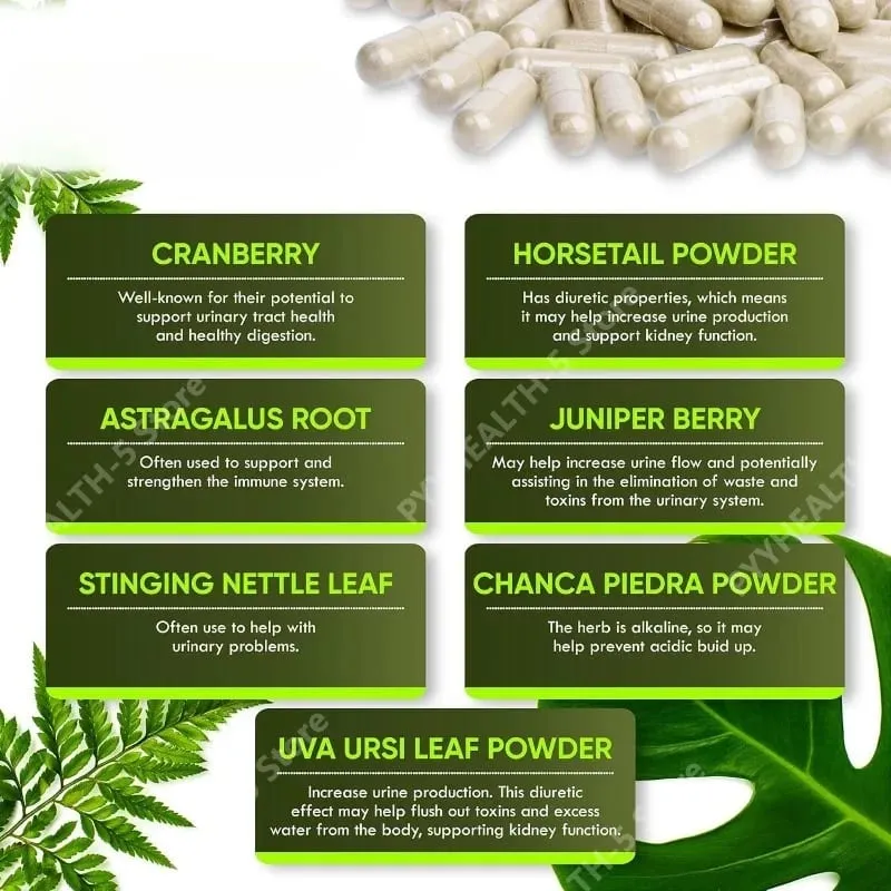 腎臟清潔排毒膠囊膀胱排尿支持與 Chanca Piedra 蔓越莓杜松子蔬菜膠囊 60 粒