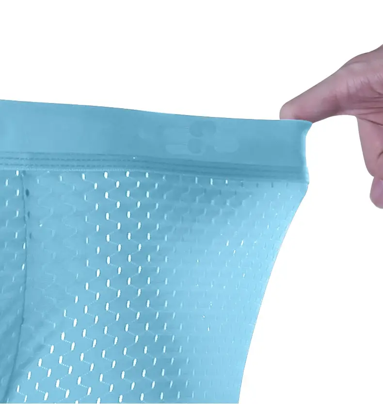 5pcs Men's Boxer Shorts Ice Silk Underwear Plus Size Underpants Cool Breathable Sexy Slim Panties Mesh Lingerie Wholesale Lots 3256809239733736
