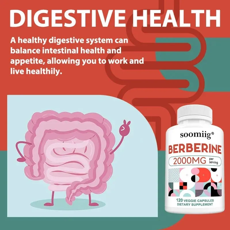 2000 Mg Berberine Supplement Capsules Supports Metabolism Regulates Blood Sugar Levels and Enhances The Immune System