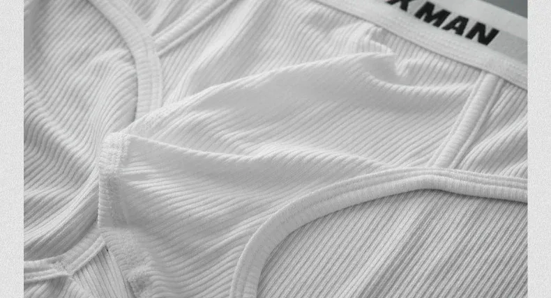 3Pack Summer Single Layer Mens Underwear Low Rise Briefs for Men Elastic Comfort Fit Underpanties Ropa Interior Hombre