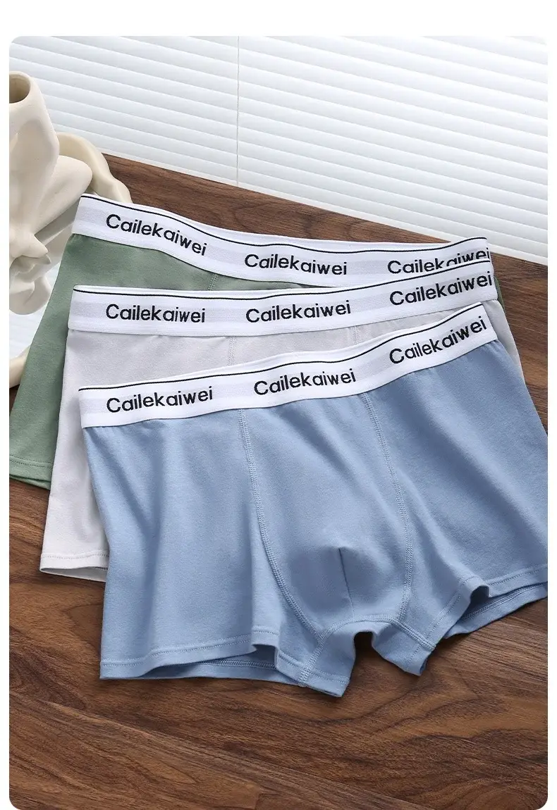 5 pçs boxer shorts roupa interior masculina sexy calcinha de algodão puro sólida elasticidade homem cuecas boxers masculinos homme u lingerie convexa — image 4
