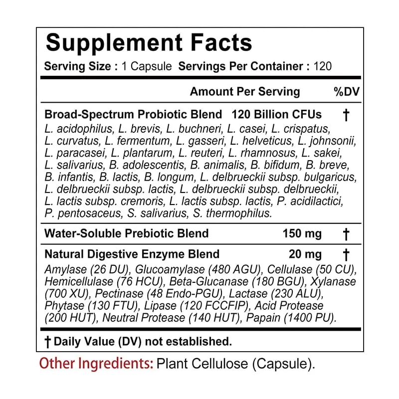 Probiotics + Prebiotics + Digestive Enzymes - Improves Digestion and Immunity Relieves Constipation Supports Intestinal Health