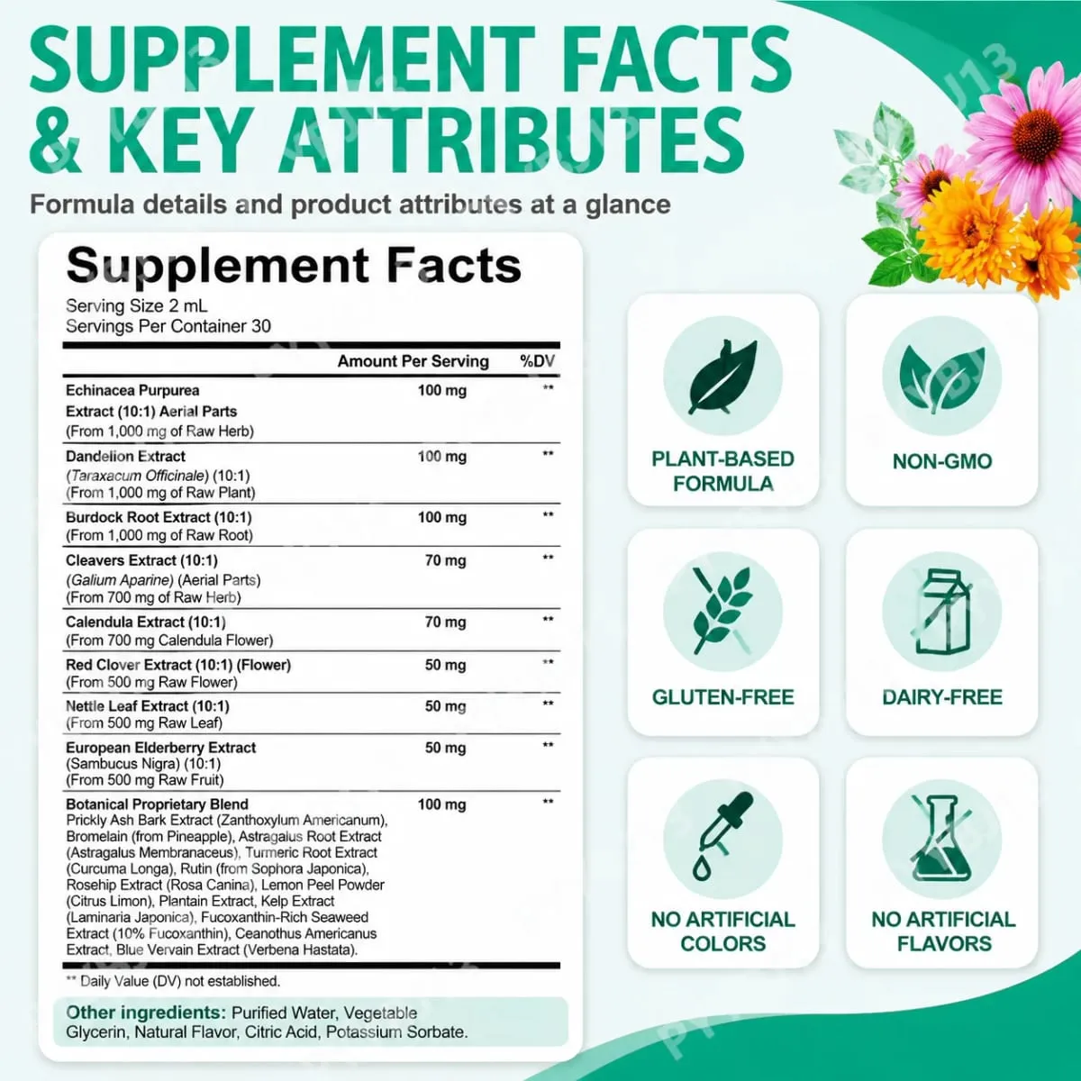 Lenm 60ml sistema linfático limpa suplementos líquidos de suporte imunológico gotas de ervas linfáticas orgânicas naturais para suporte de equilíbrio