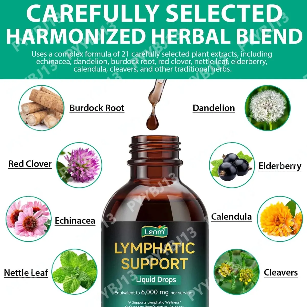 Lenm 60ml sistema linfático limpa suplementos líquidos de suporte imunológico gotas de ervas linfáticas orgânicas naturais para suporte de equilíbrio
