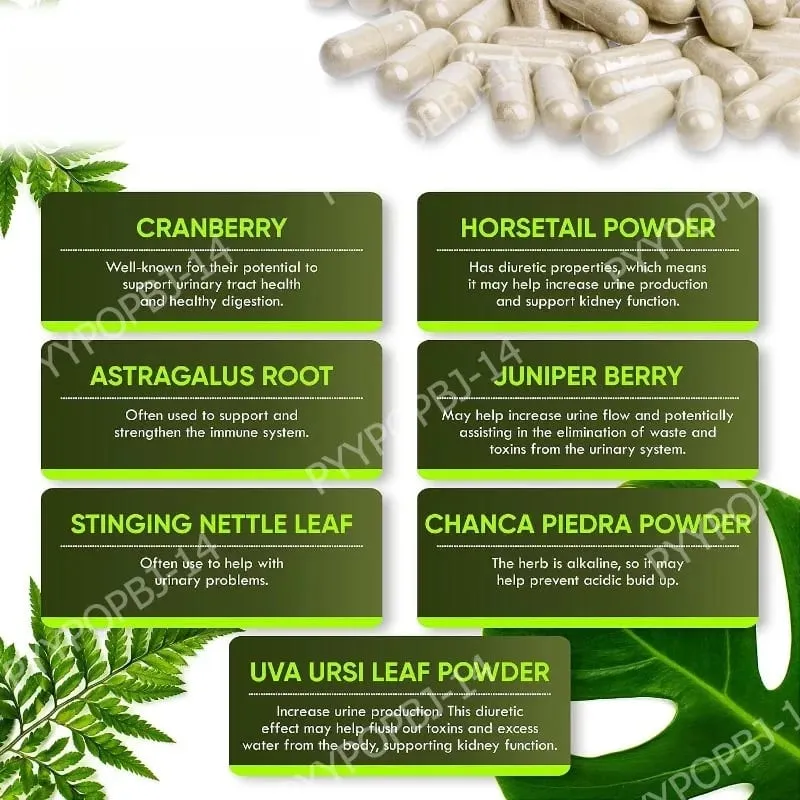 Suplemento de suporte renal para restauração renal com Chanca Piedra Cranberry Juniper Berries para desintoxicação e saúde da bexiga 60 contagens