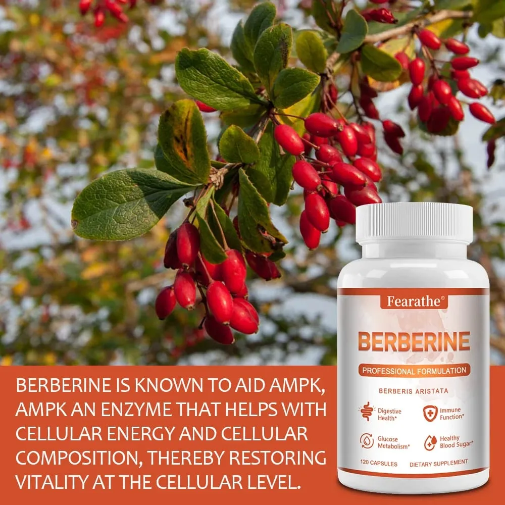 Berberina Premium - Apoia o controle de peso do sistema imunológico, saúde digestiva e suplemento de função GI 120 cápsulas