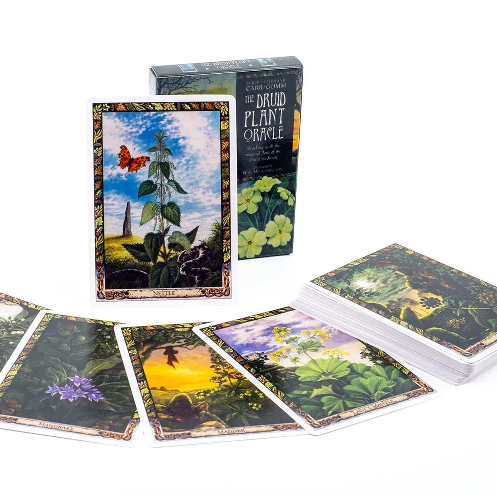 Cotolie KUMACHAN MOON CARDS 24 Pcs Deck Versão Inglês Adorável Urso Oracle Cards Jogo de Tabuleiro para Festa de Família 10.4*7.4cm