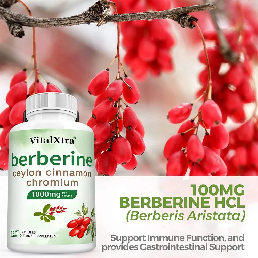 Cápsulas de berberina com canela do Ceilão e cúrcuma apoiam a saúde do coração, açúcar no sangue, função hepática, saúde imunológica e digestiva